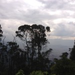 Mount Monserrate - Colombia 3
