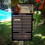 1925329_10151995460533364_792427241_n