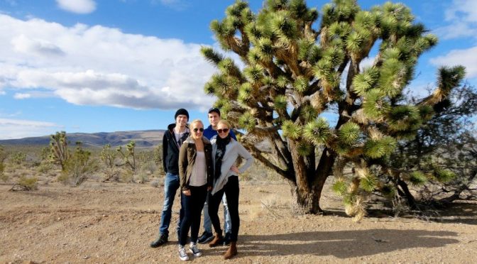 Grand Canyon – USA