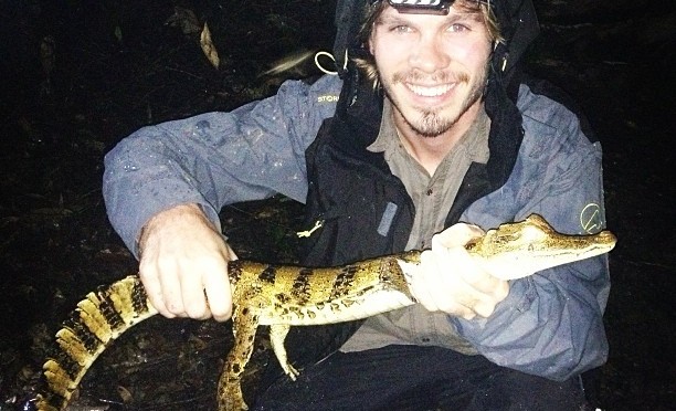 Cayman for dinner, Amazonas