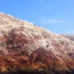 Penguins, Islas Ballestas